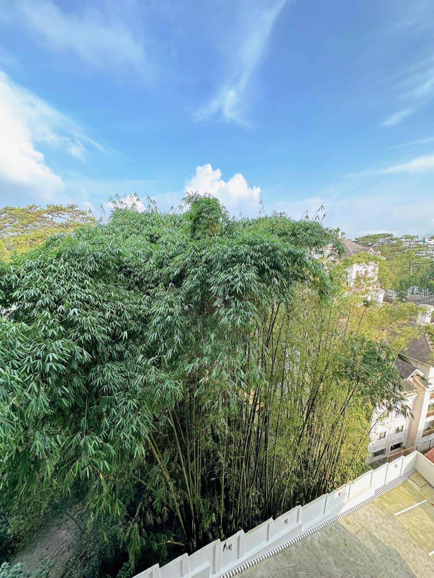 Luxury Suites At Brenthill Baguio City Dış mekan fotoğraf